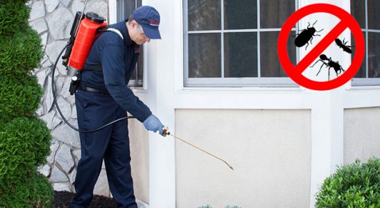 Çorum Fare İlaçlama böcek ilaçlama ve haşere kontrolü — ilaclama-tr.com